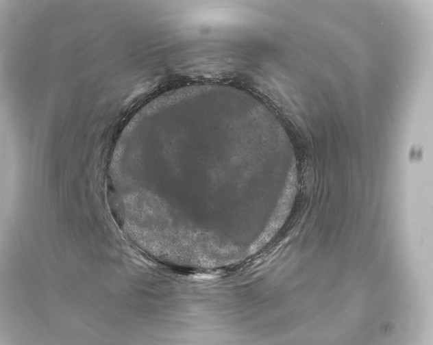 X0000093761297200711131138