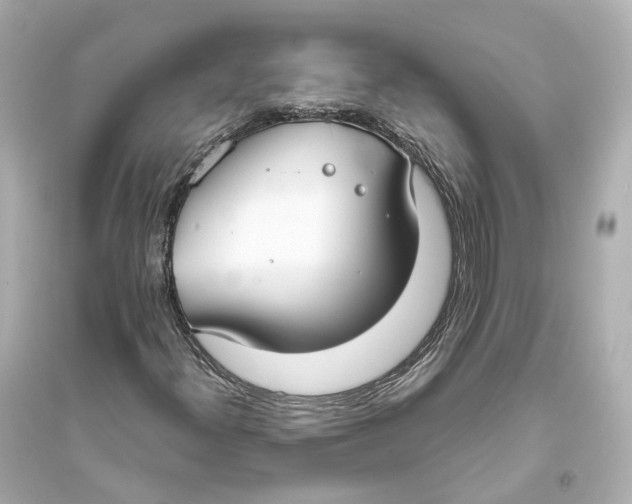 X0000093761300200711131138