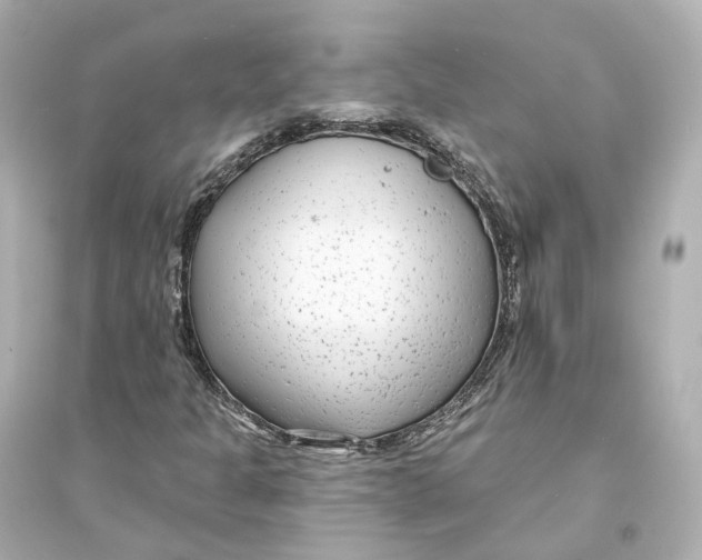 X0000093761301200711131138