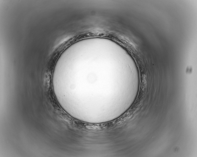 X0000093761302200711131138