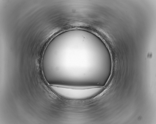 X0000093761305200711131138