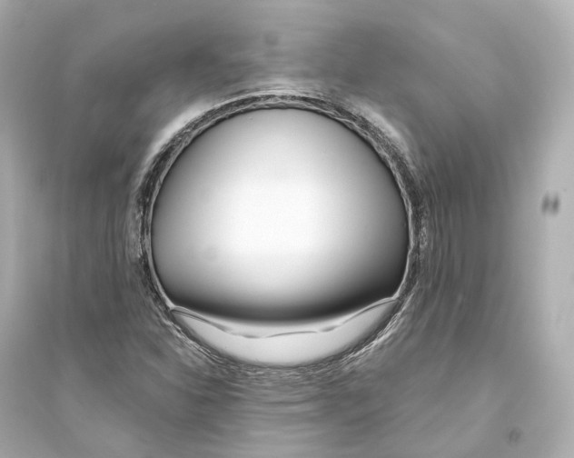 X0000093761310200711131139