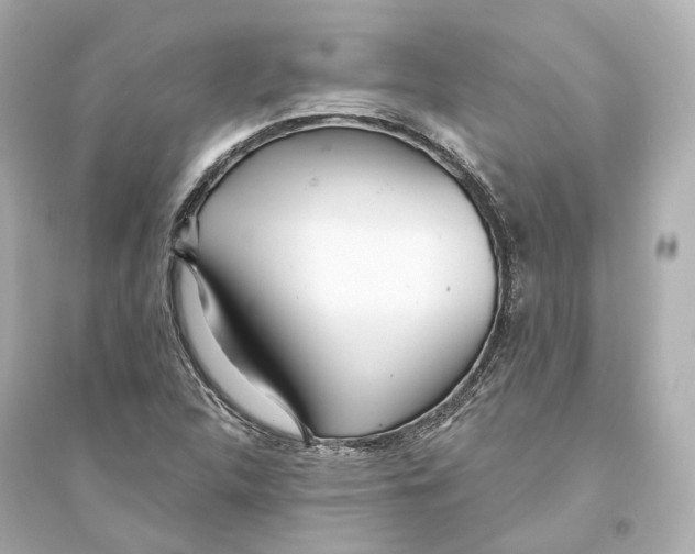 X0000093761312200711131139