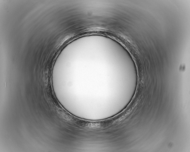 X0000093761313200711131139