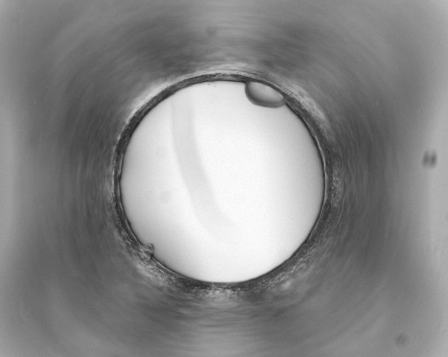 X0000093761316200711131139