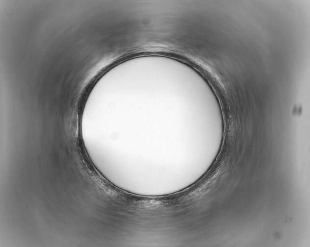 X0000093761317200711131139