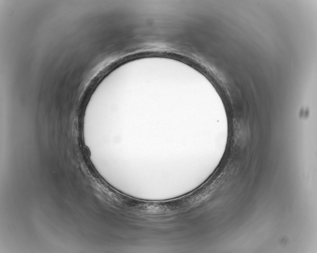 X0000093761318200711131139