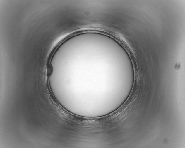 X0000093761320200711131139