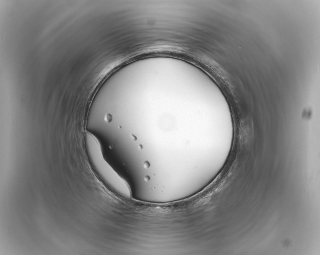 X0000093761321200711131139