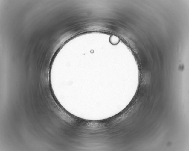 X0000093761322200711131139