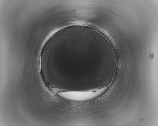 X0000093761323200711131139