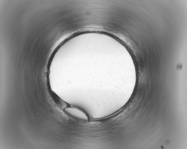 X0000093761325200711131139