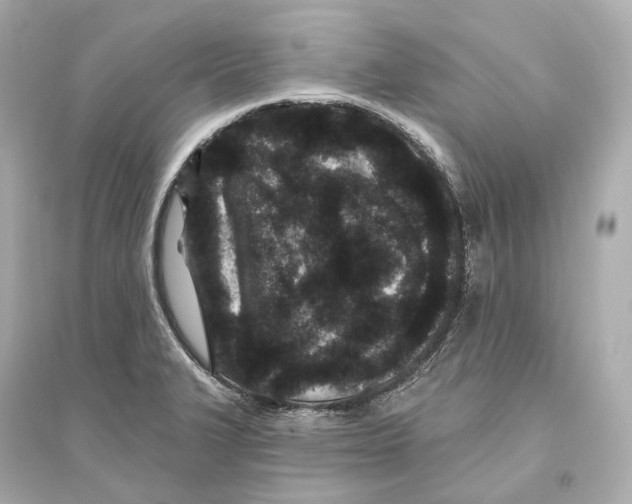 X0000093761327200711131139