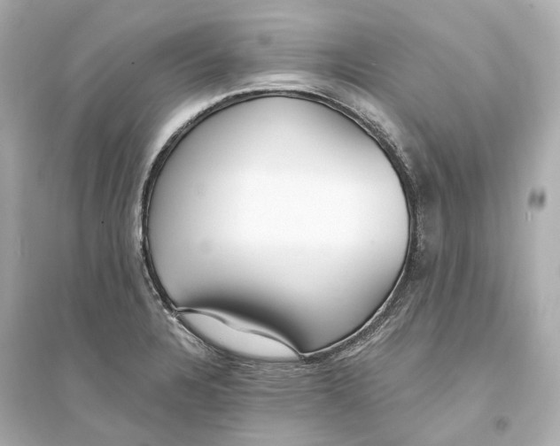 X0000093761328200711131139