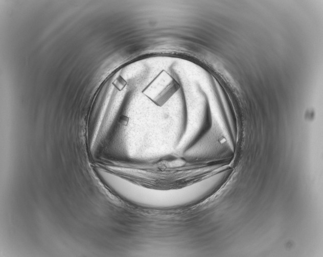 X0000093761329200711131139