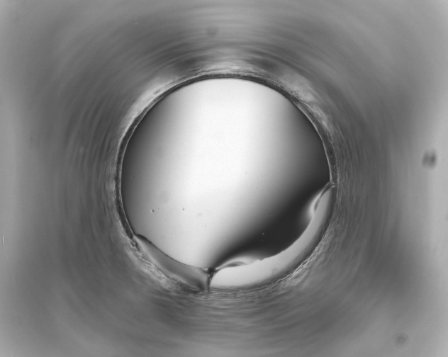 X0000093761330200711131139