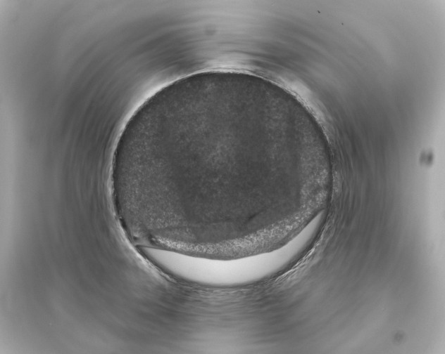 X0000093761331200711131139