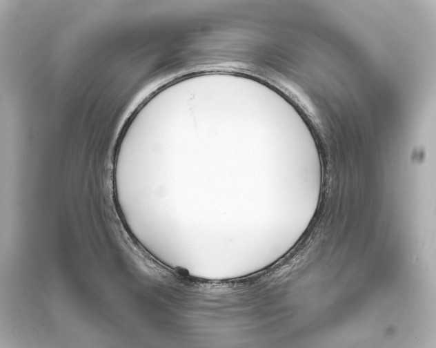 X0000093761332200711131139