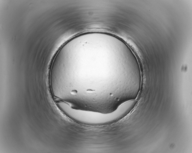 X0000093761333200711131139