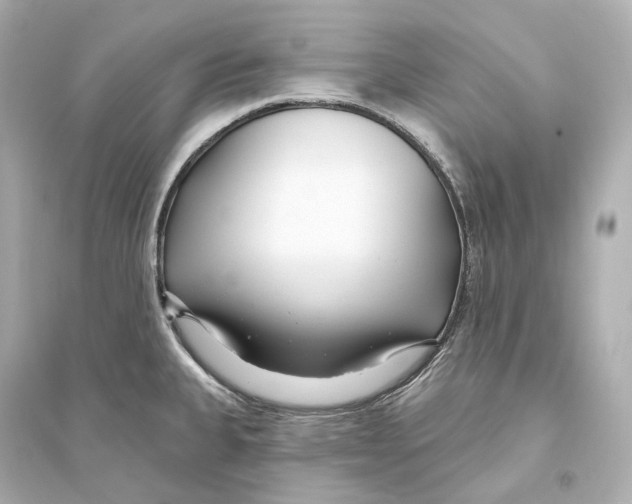 X0000093761335200711131139