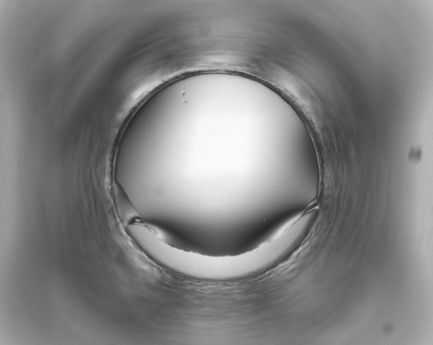 X0000093761336200711131139