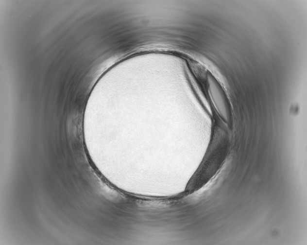 X0000093761337200711131139