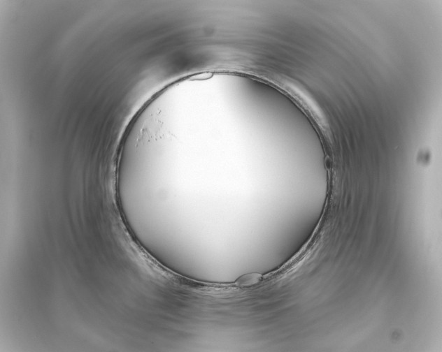 X0000093761340200711131139