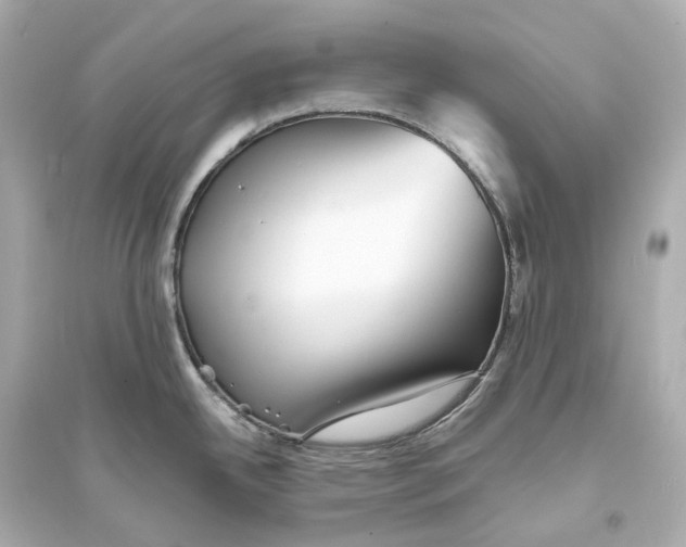 X0000093761342200711131139