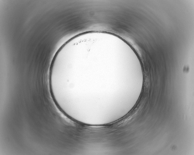 X0000093761343200711131139