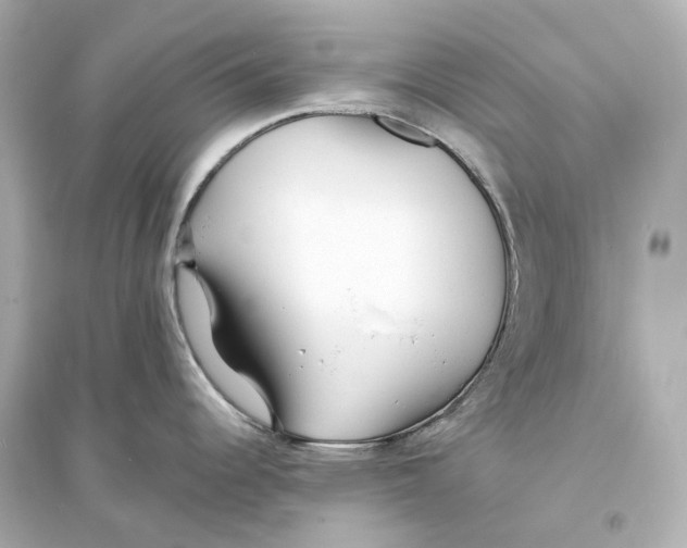 X0000093761344200711131139