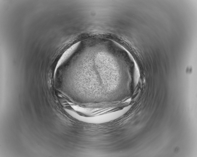 X0000093761348200711131138