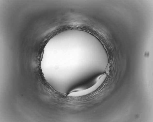 X0000093761349200711131138