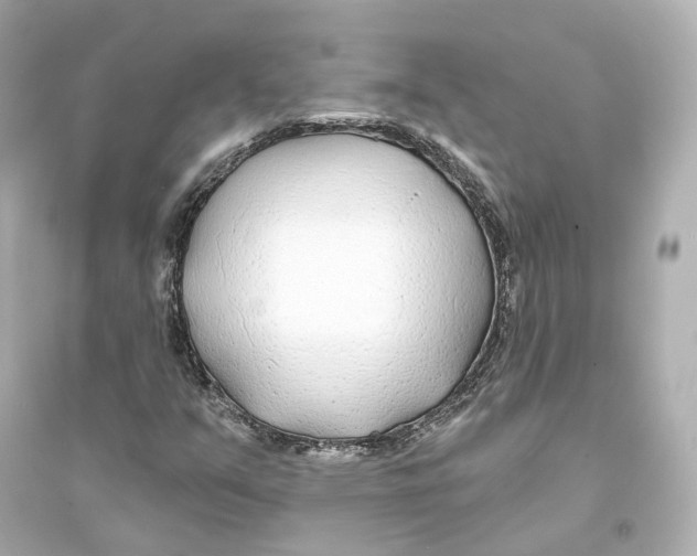 X0000093761351200711131138