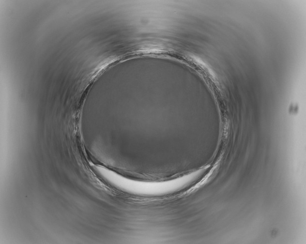 X0000093761353200711131138