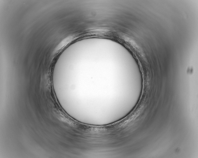 X0000093761354200711131138