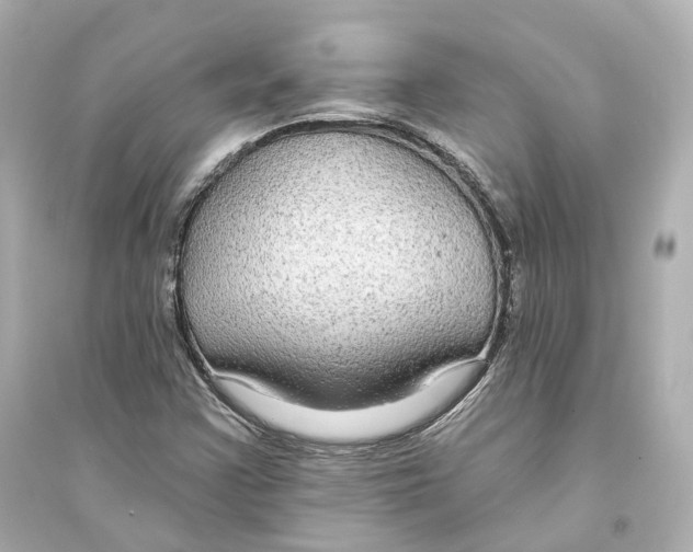 X0000093761355200711131138