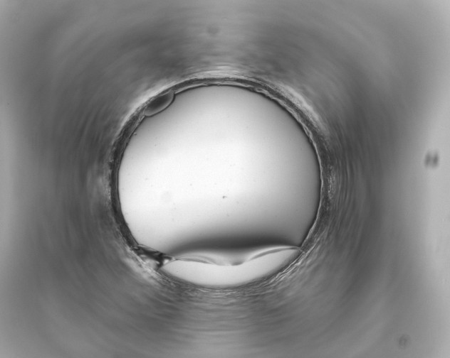 X0000093761356200711131138