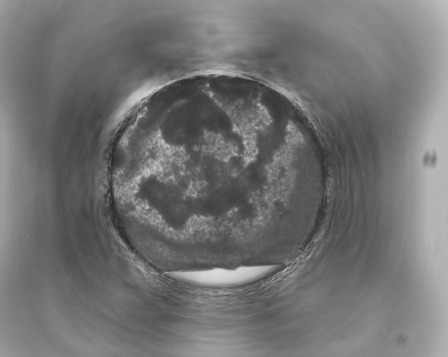 X0000093761359200711131138