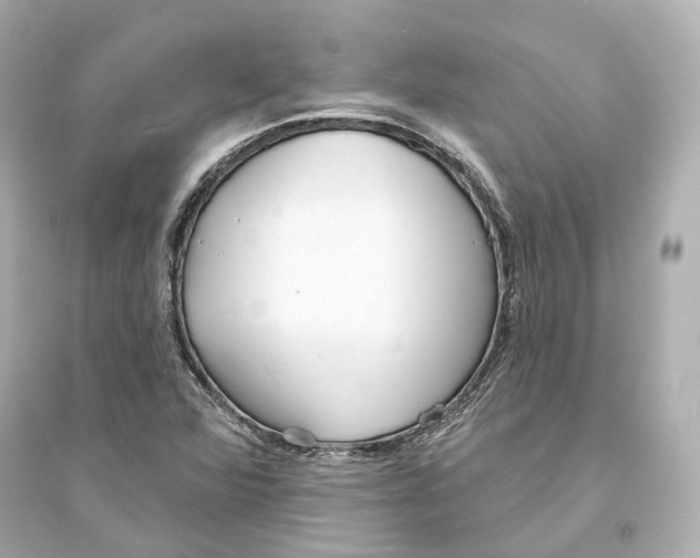 X0000093761360200711131138