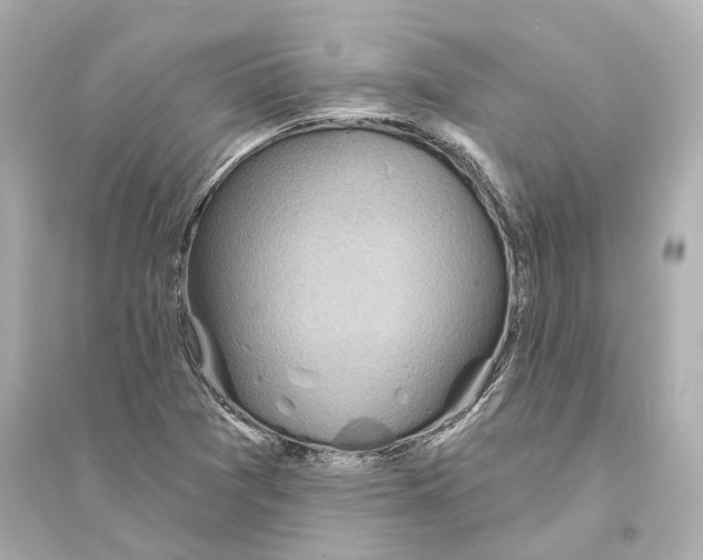 X0000093761361200711131138