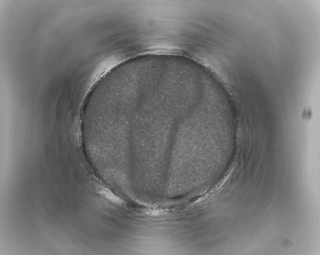 X0000093761362200711131138