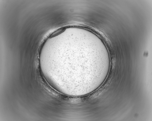 X0000093761363200711131138