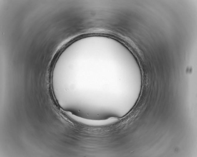 X0000093761364200711131138