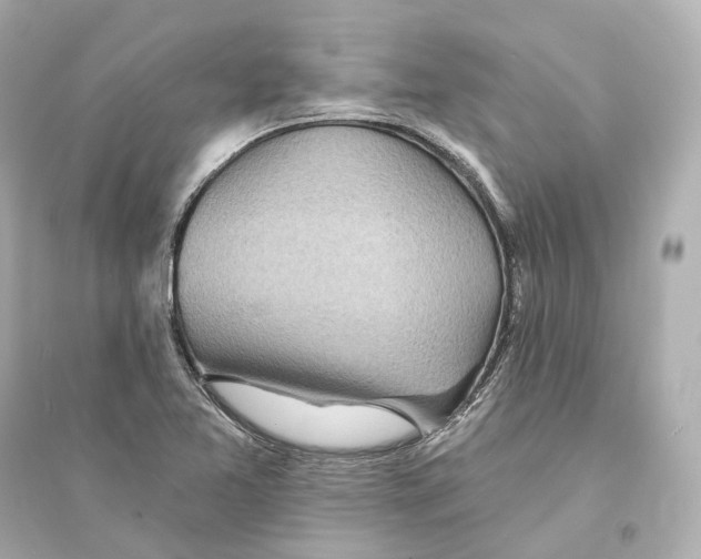 X0000093761365200711131138