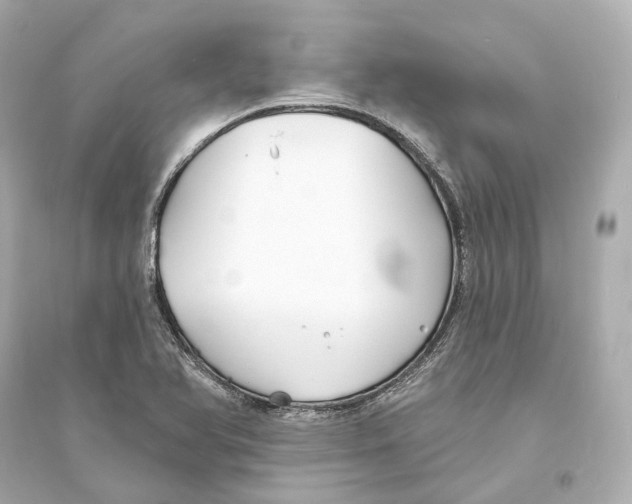 X0000093761366200711131138