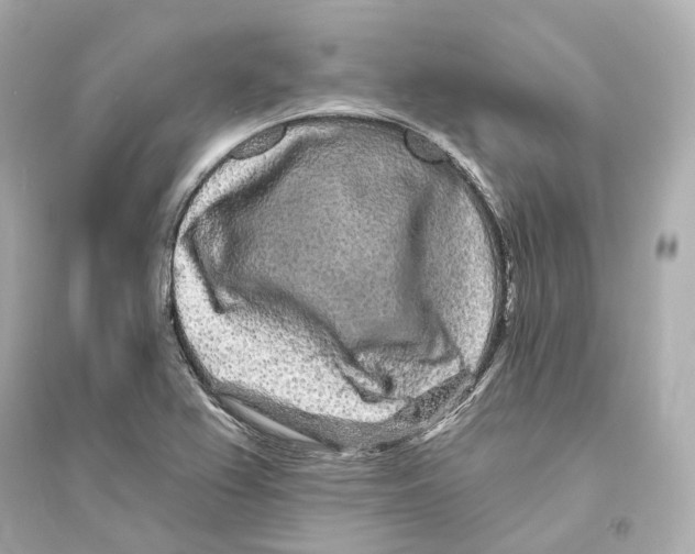 X0000093761367200711131138