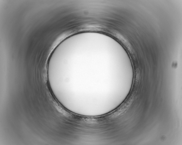 X0000093761370200711131138