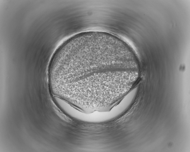 X0000093761372200711131138