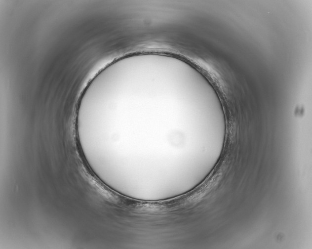 X0000093761374200711131138