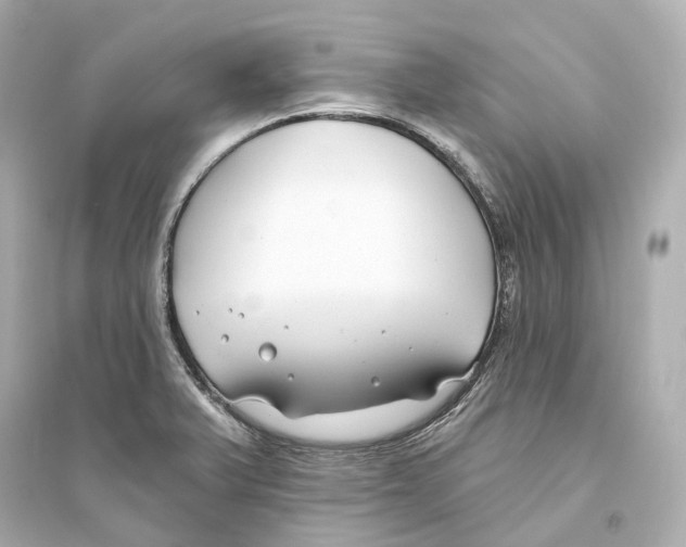 X0000093761375200711131138